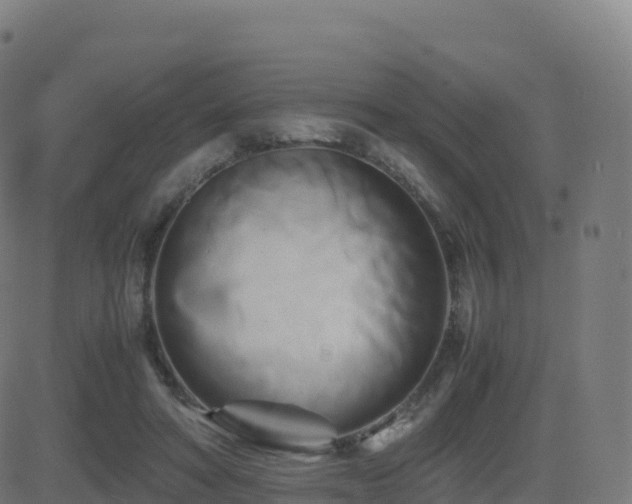 X0000081490402200701121515