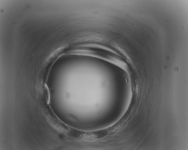 X0000081490403200701121515