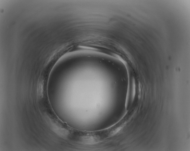 X0000081490404200701121515