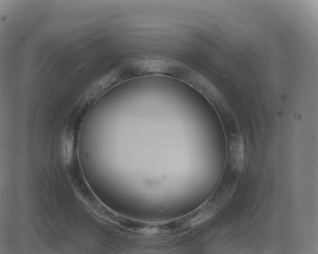 X0000081490406200701121515