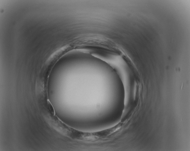 X0000081490407200701121515