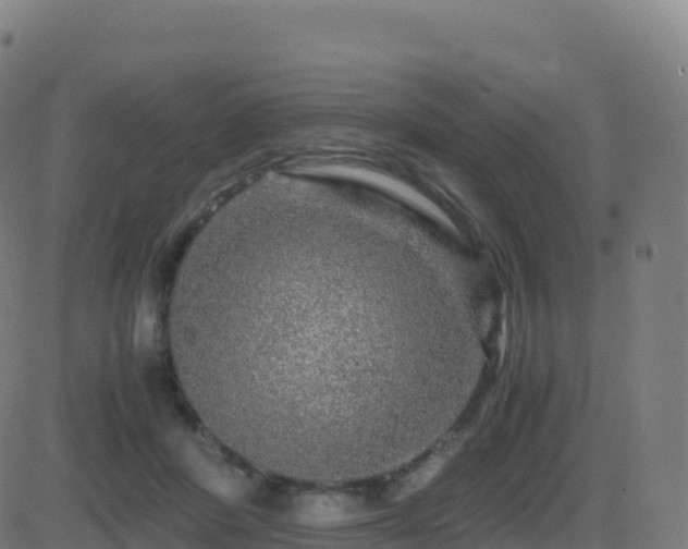 X0000081490408200701121515