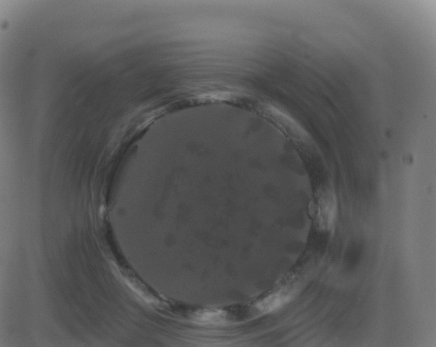 X0000081490410200701121515