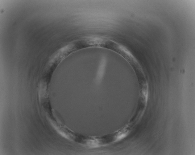 X0000081490411200701121515