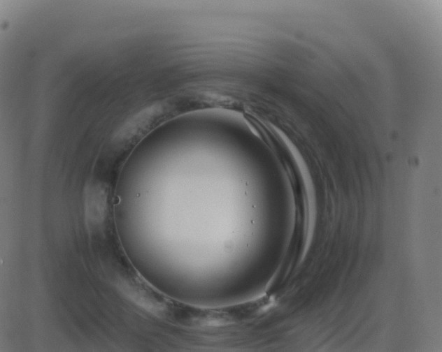 X0000081490412200701121515