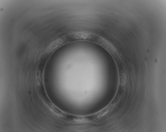 X0000081490414200701121515