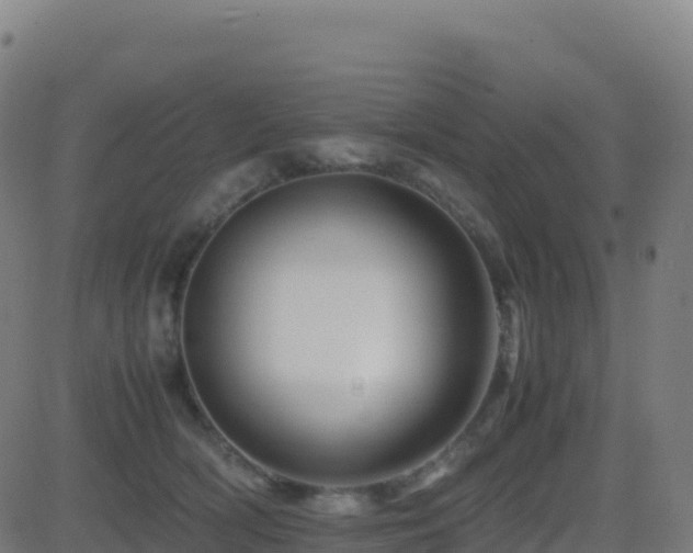 X0000081490418200701121515