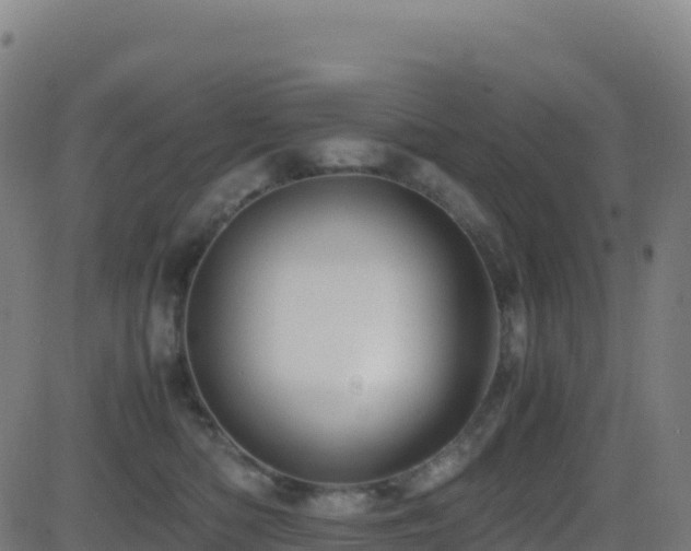 X0000081490422200701121515