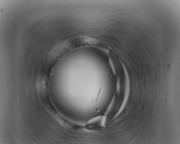 X0000081490424200701121515