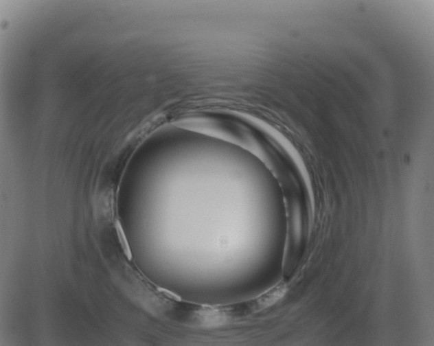 X0000081490425200701121515