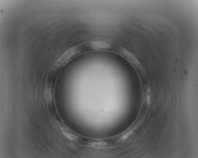 X0000081490426200701121515