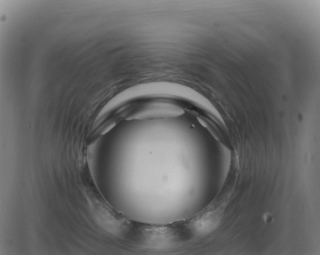 X0000081490428200701121515