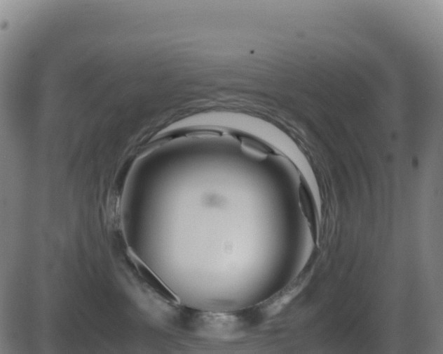 X0000081490429200701121515