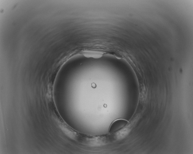 X0000081490430200701121515