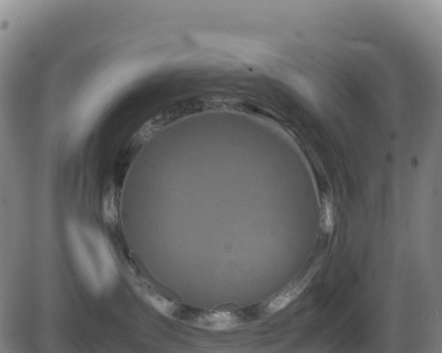 X0000081490431200701121515