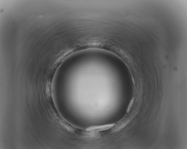 X0000081490432200701121515