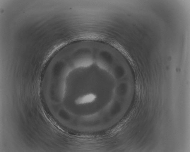 X0000081490434200701121514