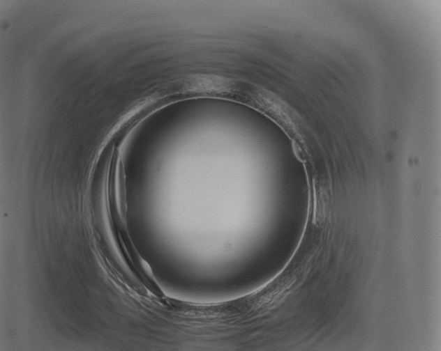 X0000081490435200701121514