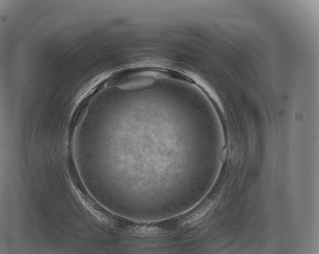 X0000081490437200701121514