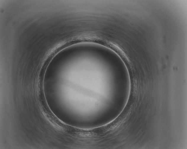 X0000081490439200701121514