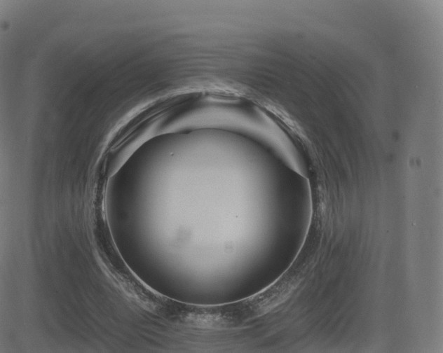 X0000081490440200701121514