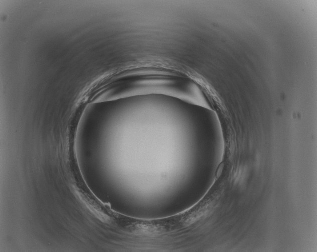 X0000081490442200701121514