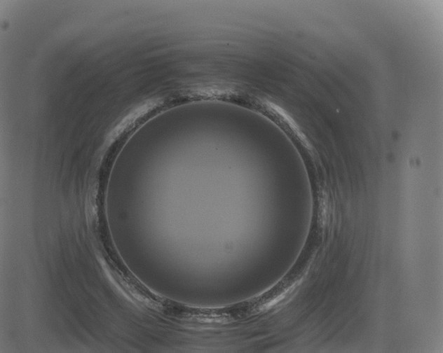 X0000081490443200701121514