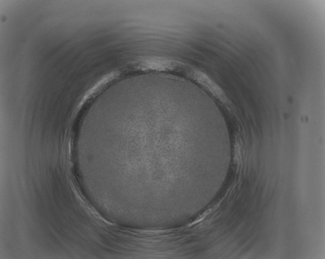 X0000081490444200701121514