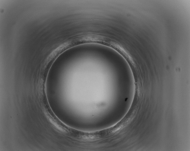 X0000081490445200701121514