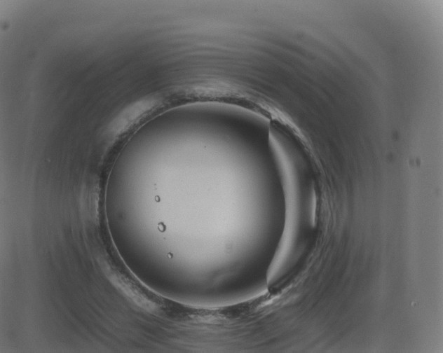 X0000081490446200701121514