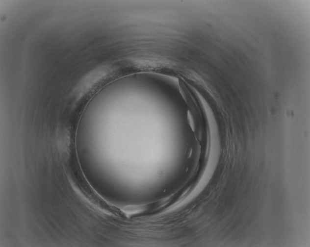 X0000081490448200701121514