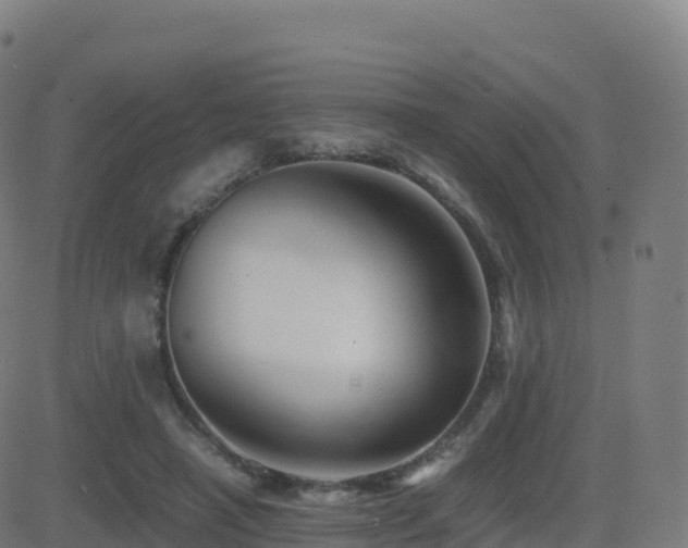 X0000081490450200701121514