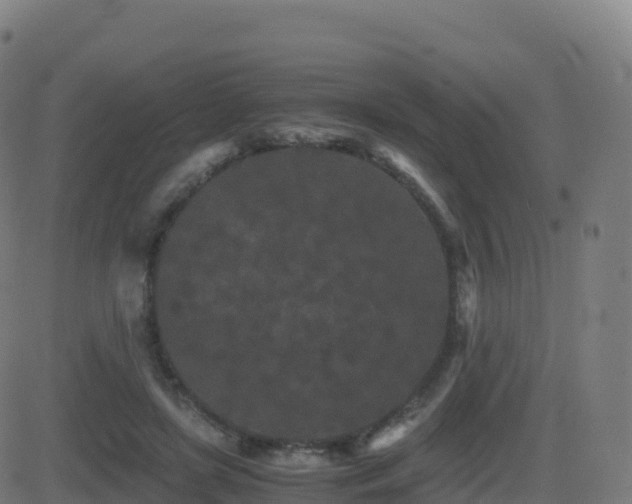 X0000081490451200701121514