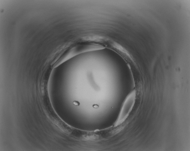 X0000081490452200701121514