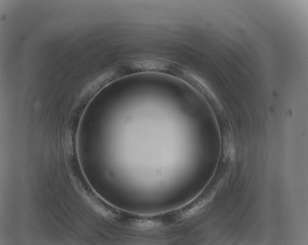 X0000081490453200701121514