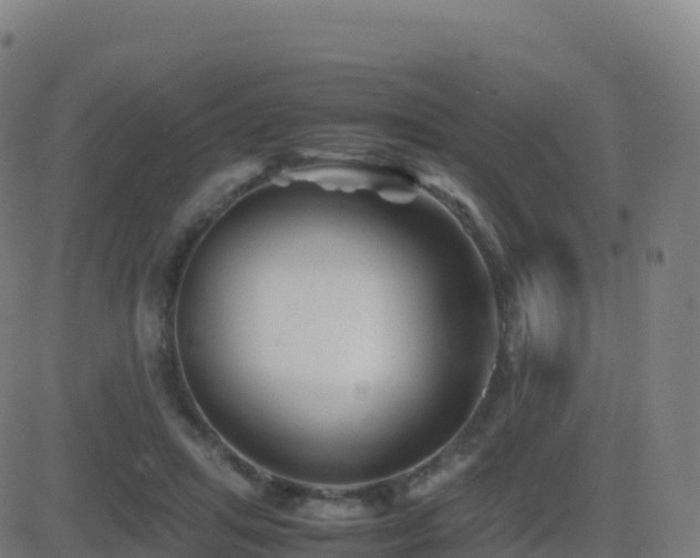 X0000081490455200701121514