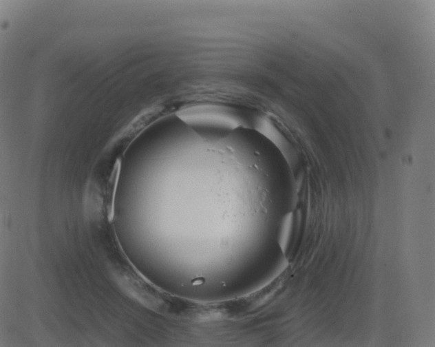 X0000081490456200701121514