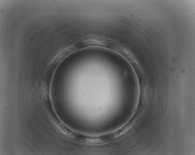 X0000081490457200701121514