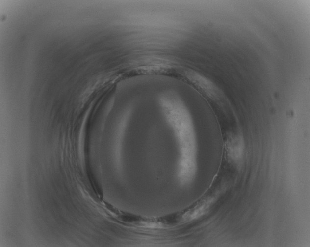 X0000081490458200701121514