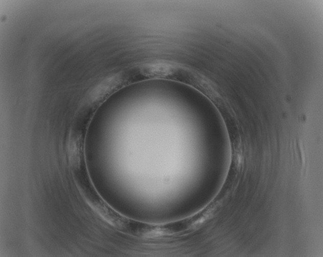 X0000081490460200701121514