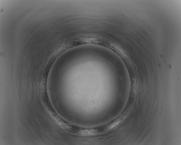 X0000081490461200701121514