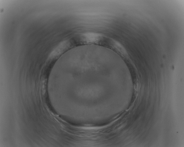 X0000081490462200701121514