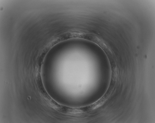 X0000081490463200701121514