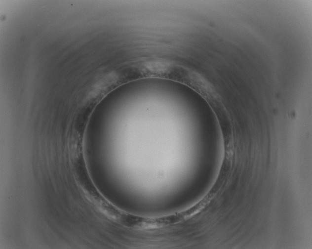 X0000081490464200701121514