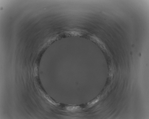 X0000081490465200701121514