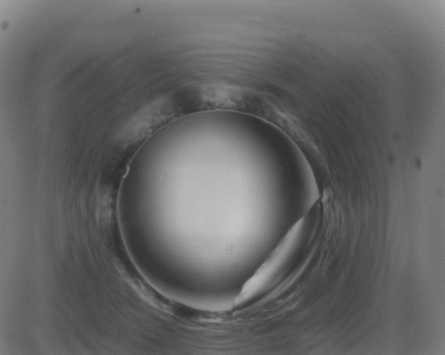 X0000081490466200701121514