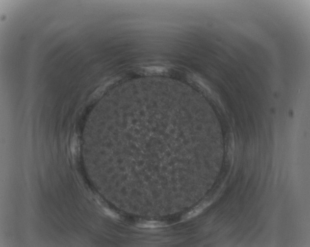 X0000081490467200701121514