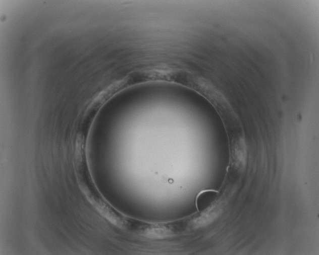 X0000081490468200701121514