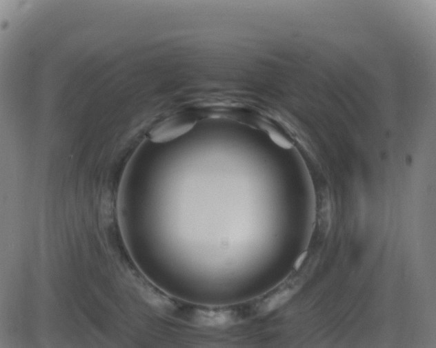 X0000081490469200701121514