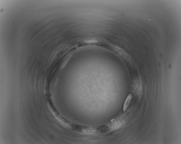 X0000081490470200701121514